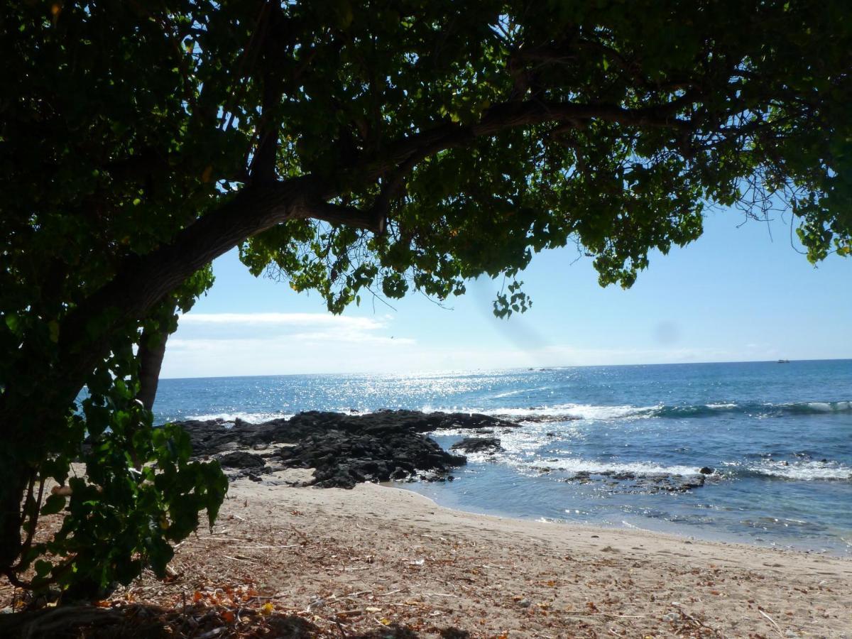 Downtown Hawaiian Paradise Condo With Hot Tub, Pool & Beach - Kona Islander Inn Kailua-Kona Bagian luar foto